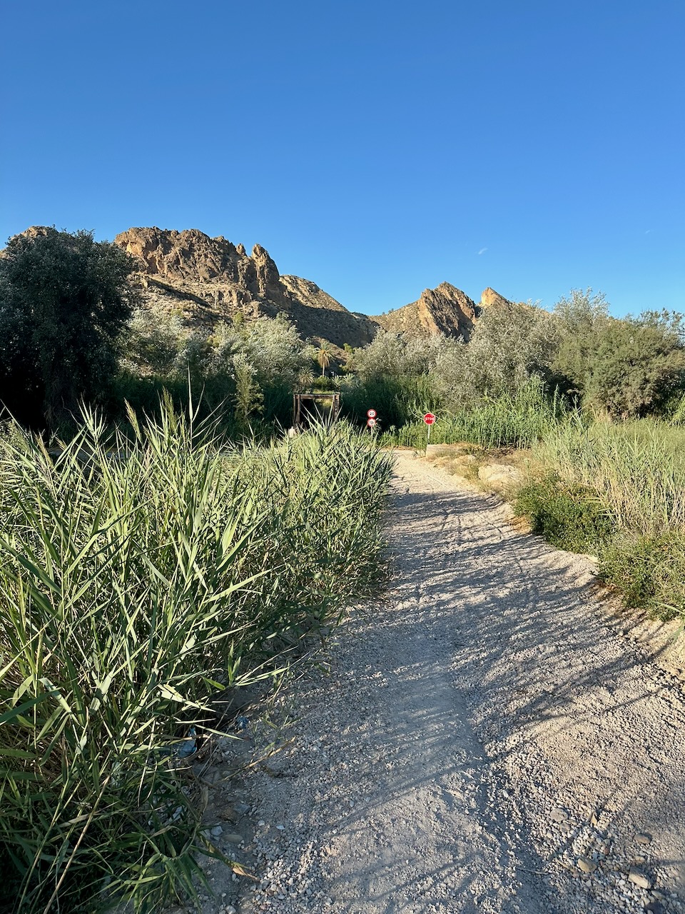 El Valle Termal 1 foto 20