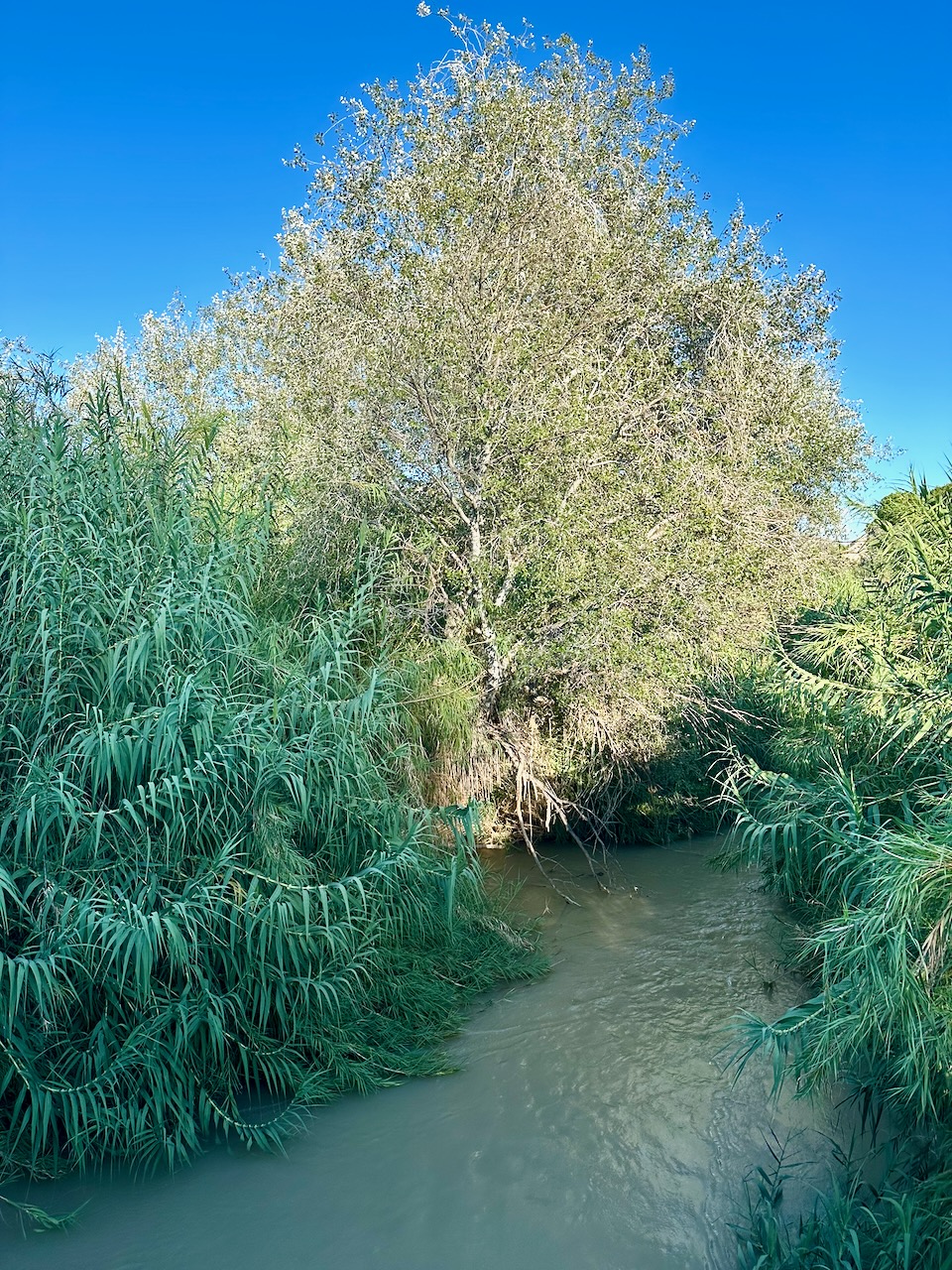 Valle de Ricote, río Segura